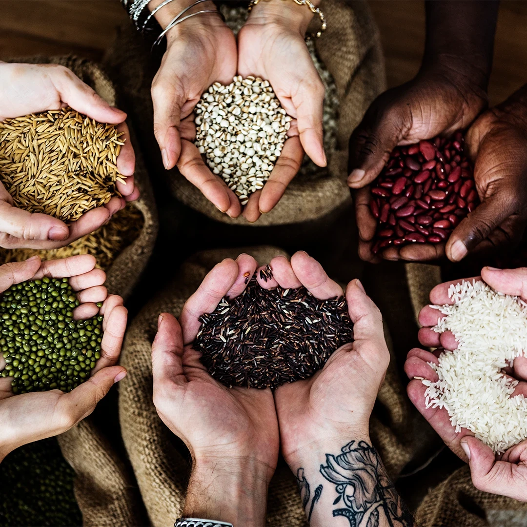 Millets: The Comeback of India's Ancient Super Grains